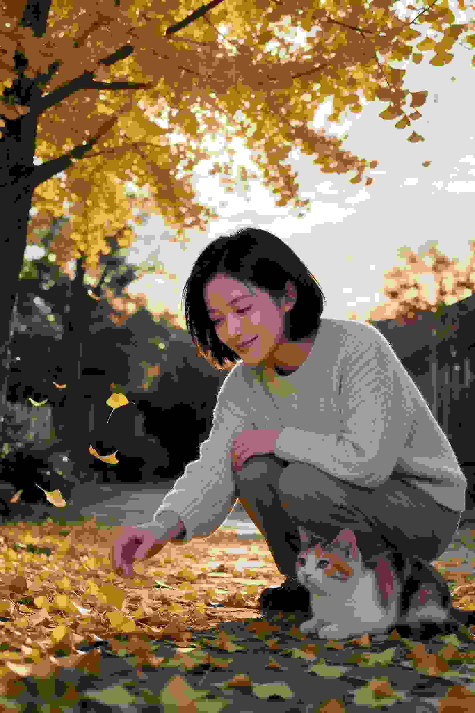 绯红契约